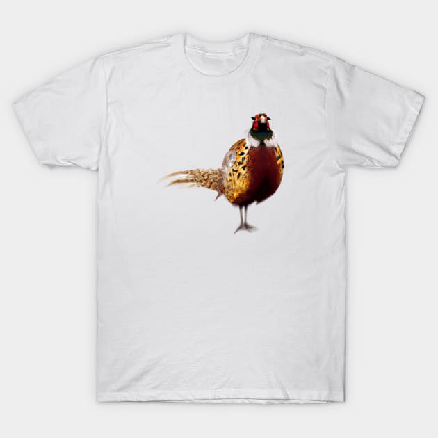 Cute Pheasant Drawing T-Shirt by Play Zoo